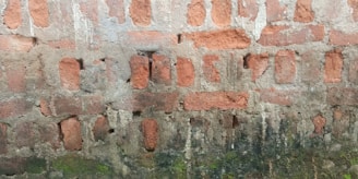 A weathered brick wall with visible mortar in between. The bricks are unevenly colored, showing signs of aging and wear. Moss and dirt are present at the base, indicating possible dampness or exposure to the elements.
