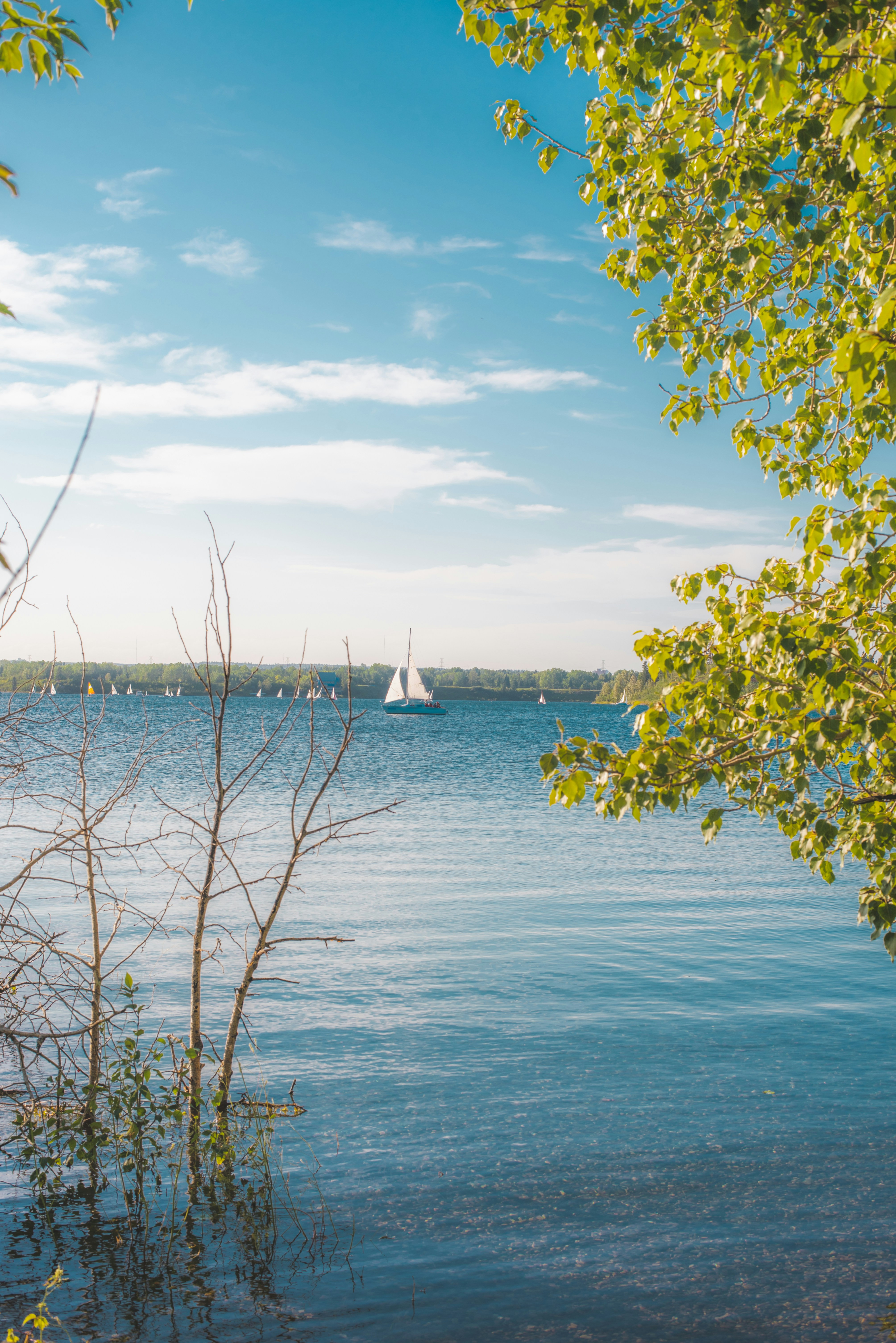 Photo by ryunosuke_kikuno