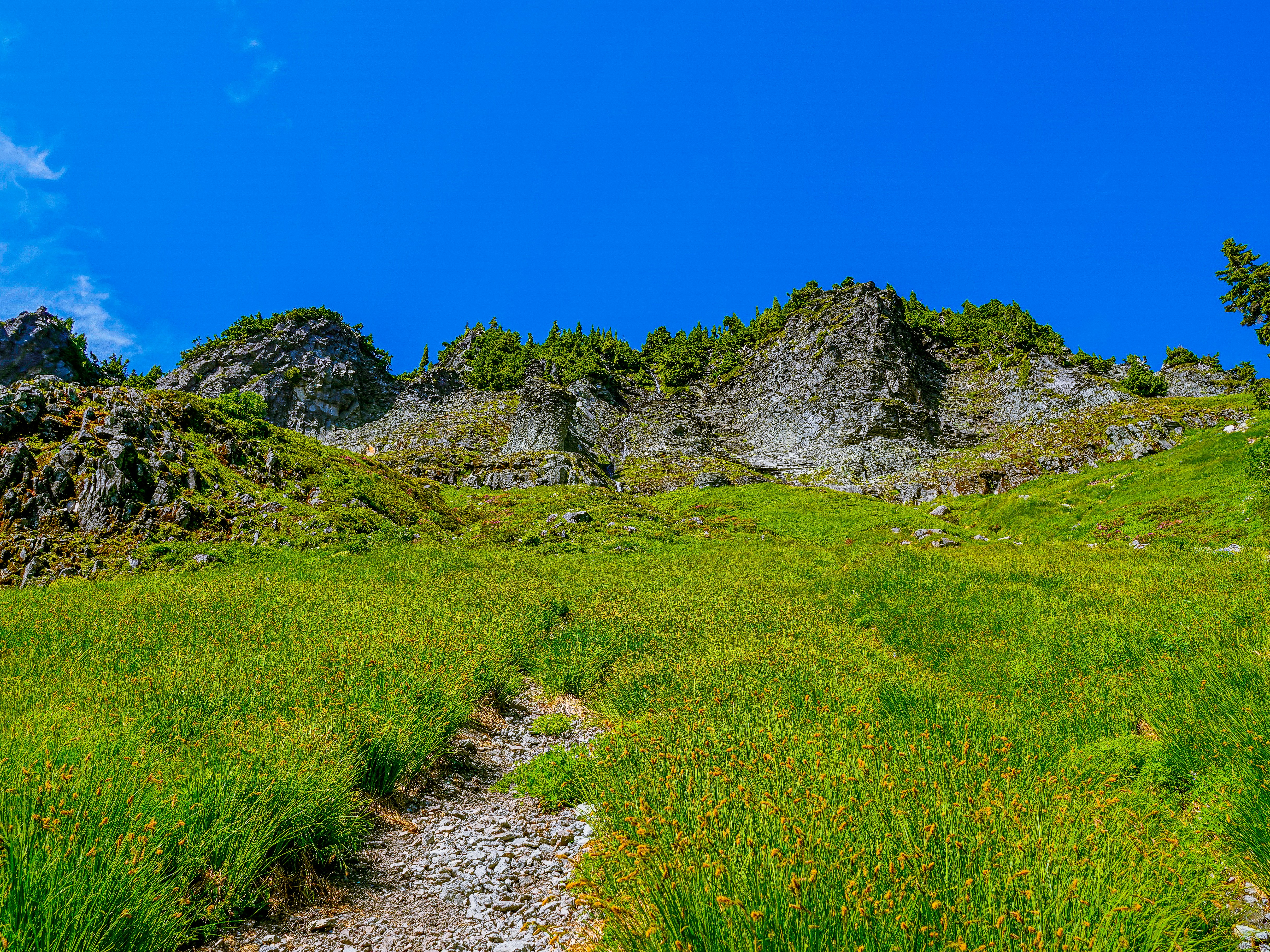 Photo by pavlpolo_official