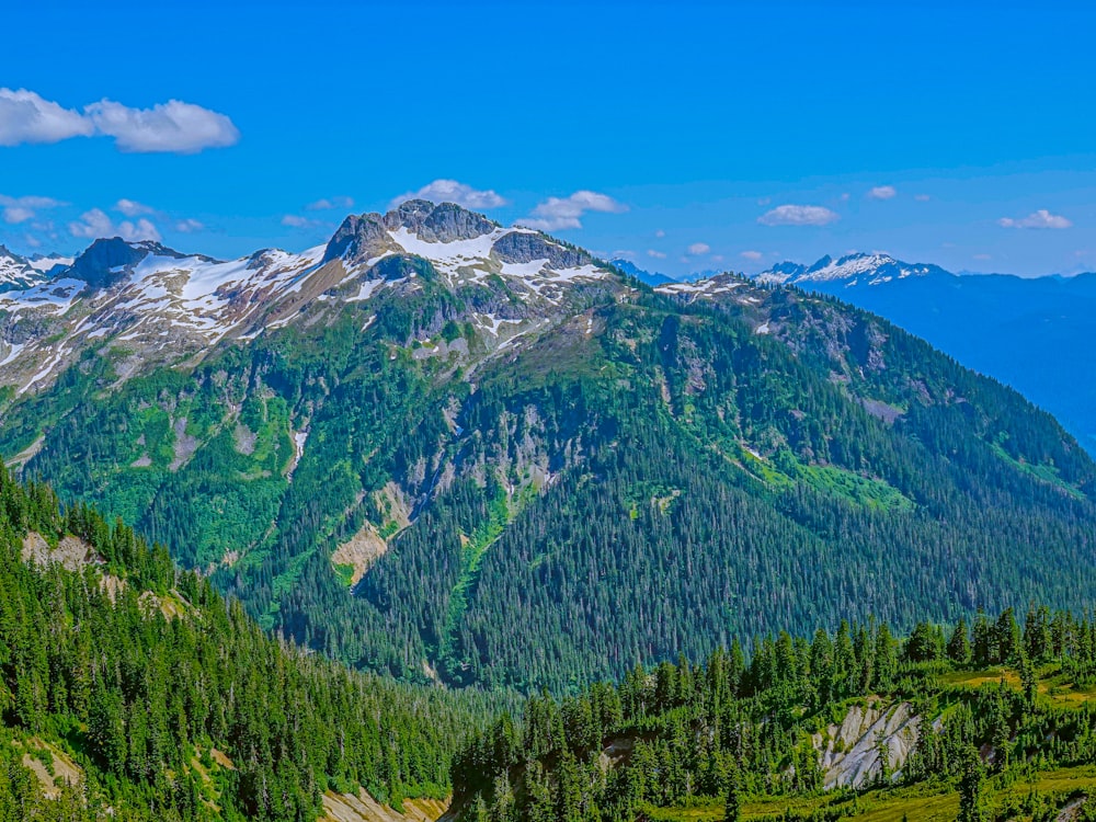 green trees on mountain under blue sky during daytime