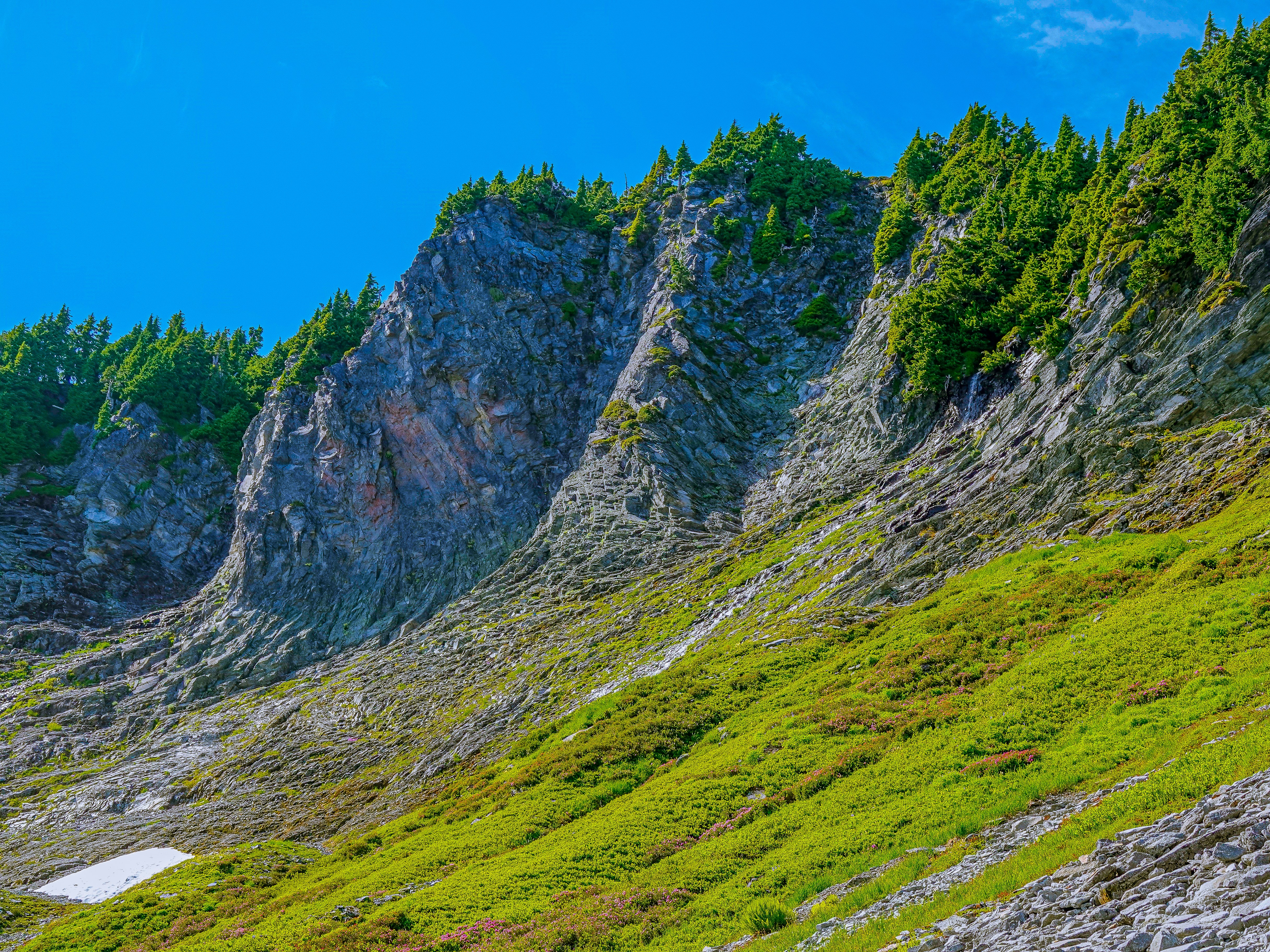 Photo by pavlpolo_official