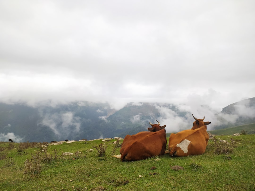 Highland photo spot Olesbelangah Gilan