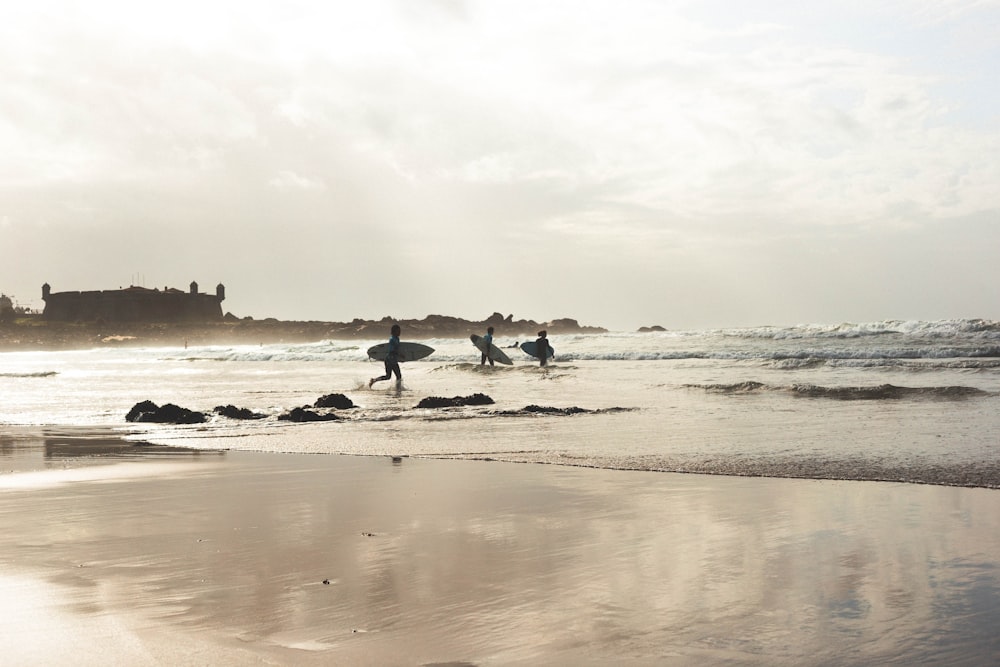 people on beach during daytime