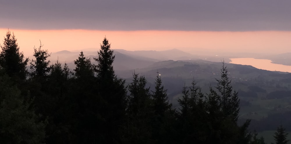 green trees on mountain during sunset