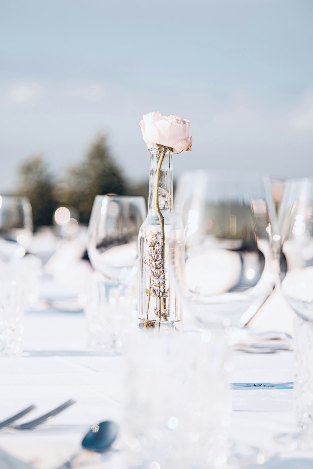 white rose in glass bottle on table