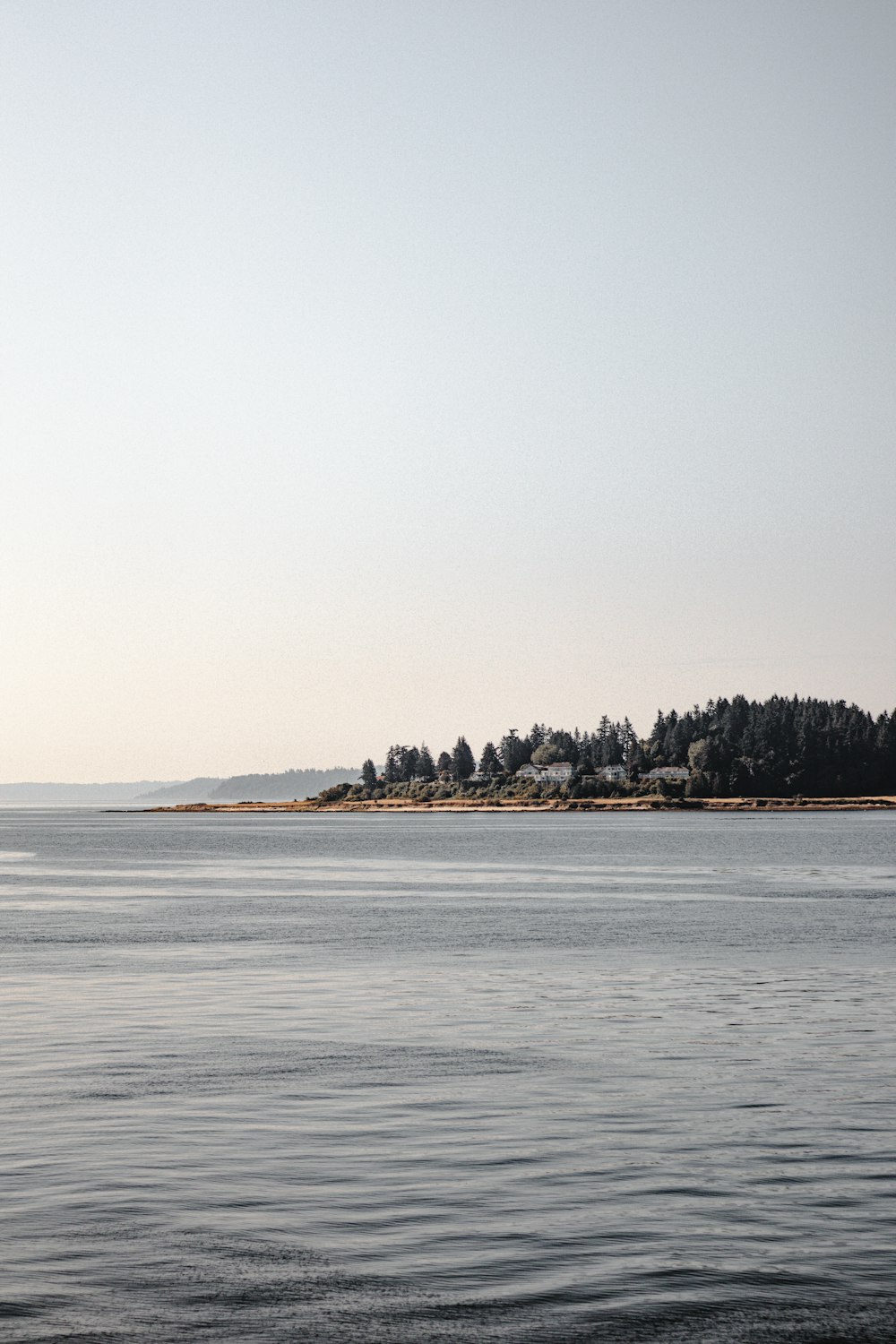 body of water near trees during daytime