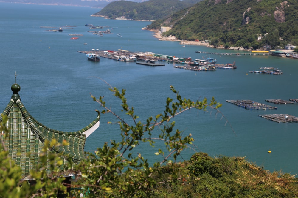 aerial view of green trees near body of water during daytime