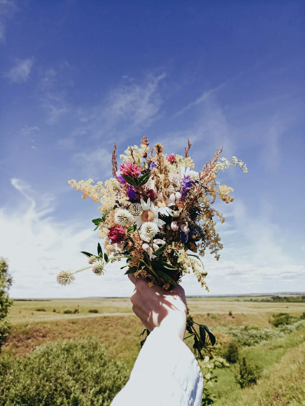 person holding white and purple flower bouquet