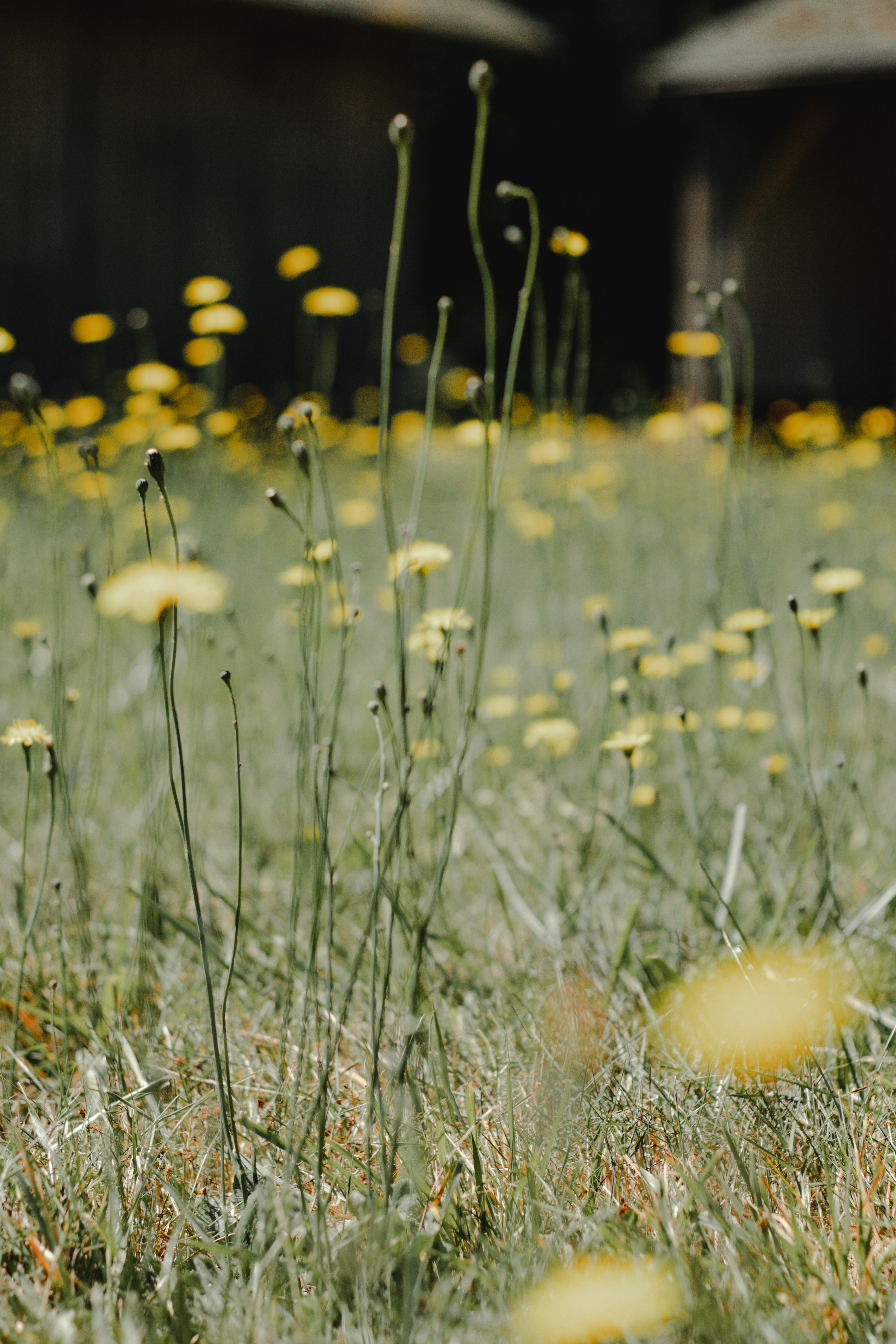 Photo by andrrewphoto