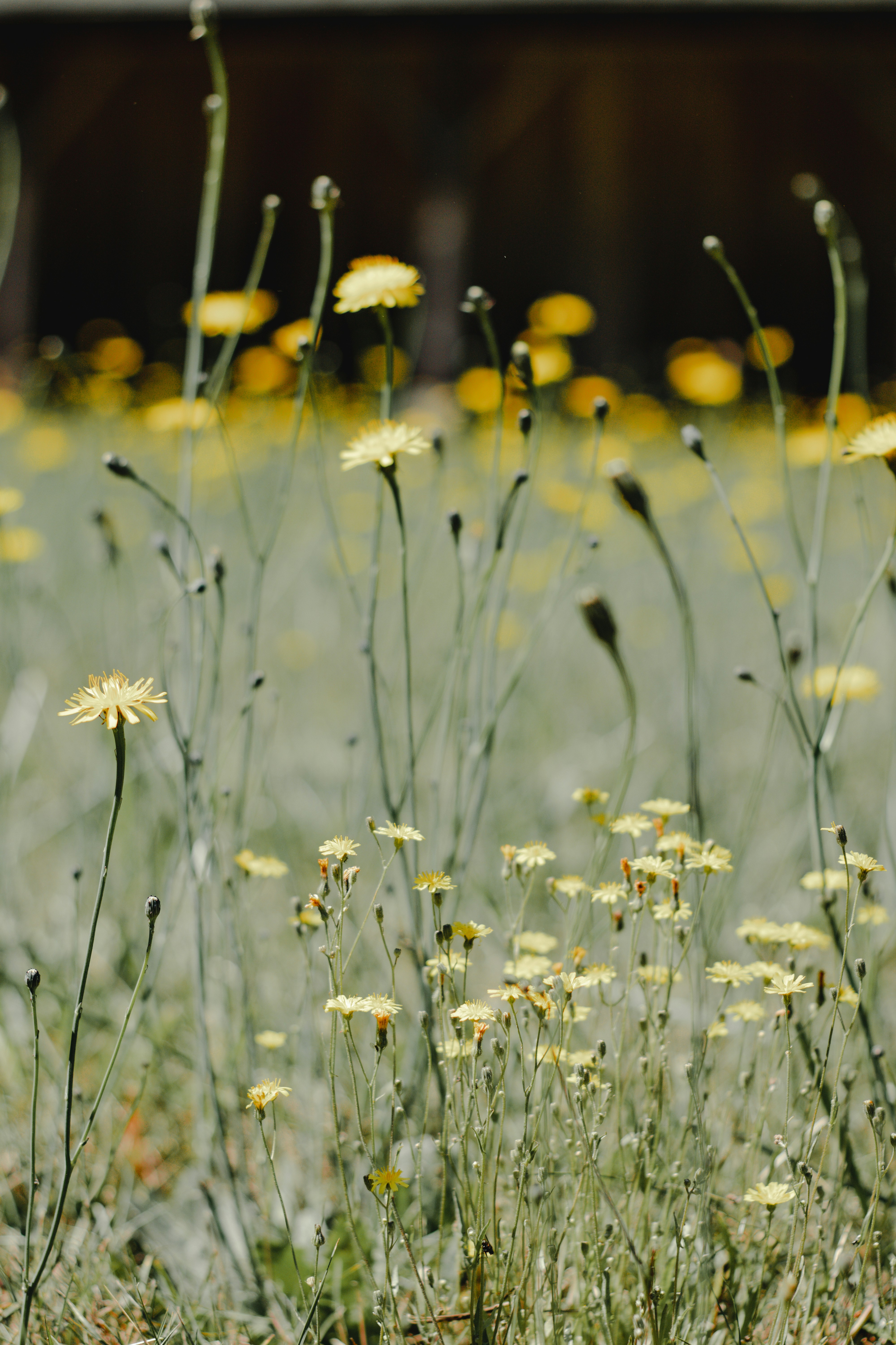 Photo by andrrewphoto