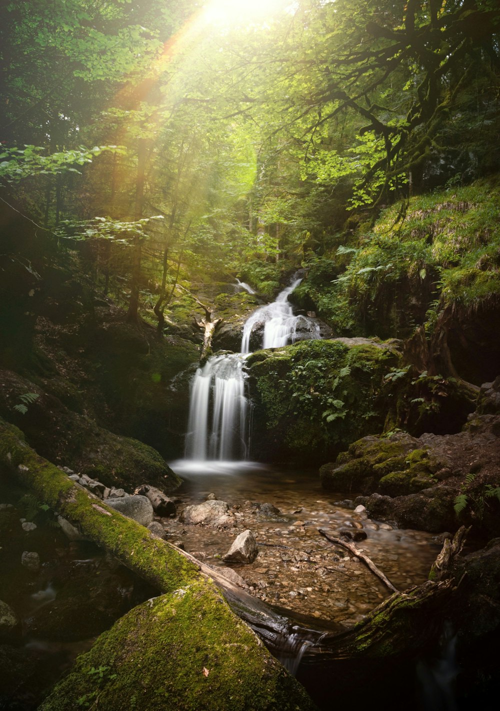 waterfalls in forest during daytime