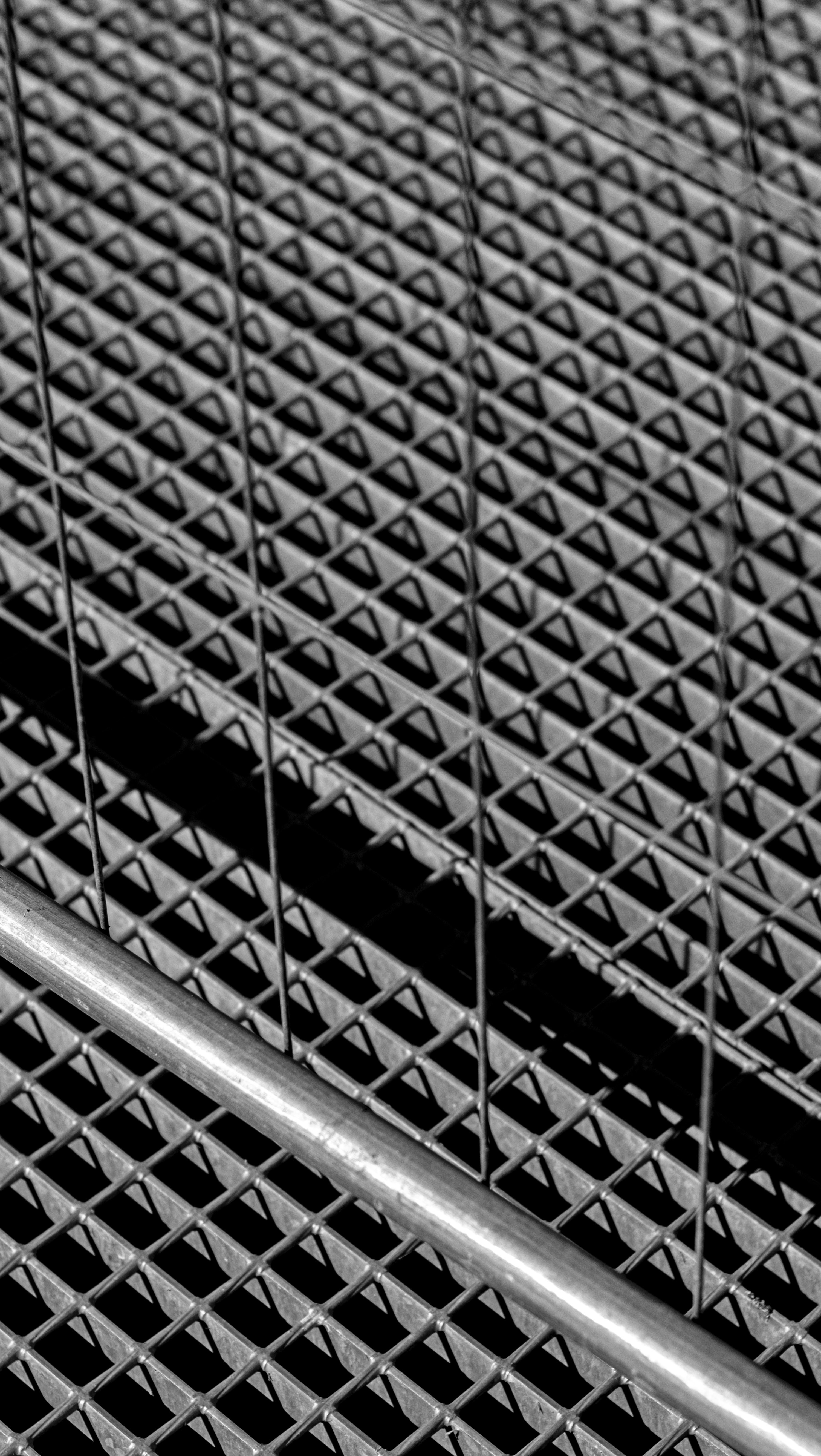 Photo by danielabeleva