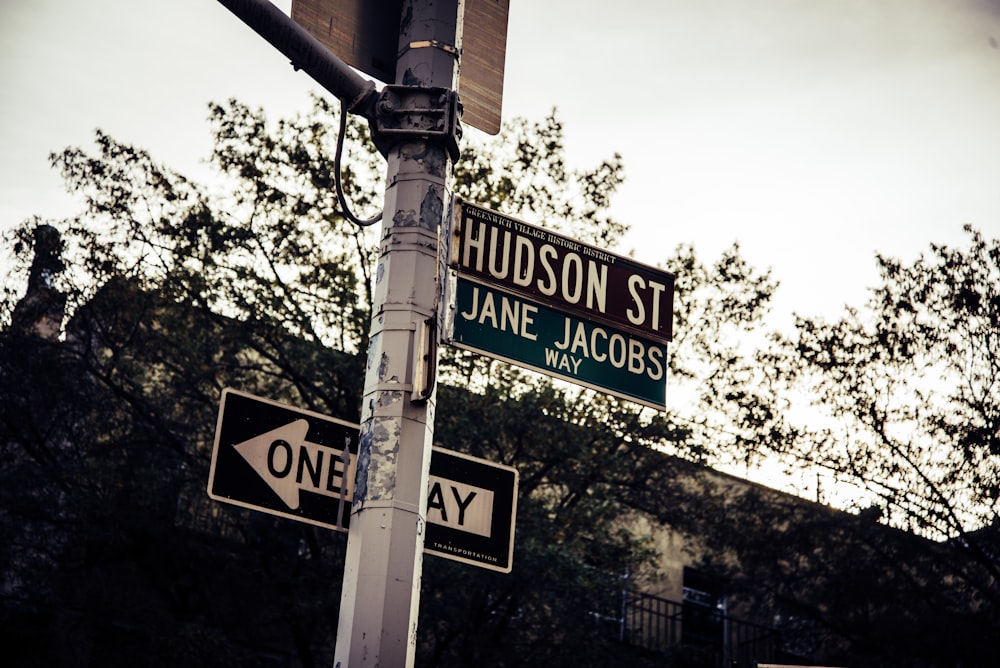 green and white street sign