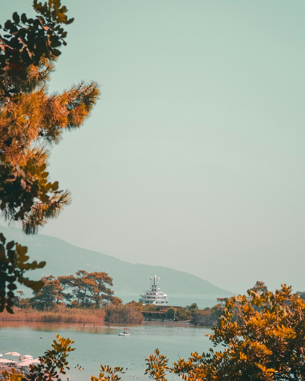 green and brown trees near body of water during daytime