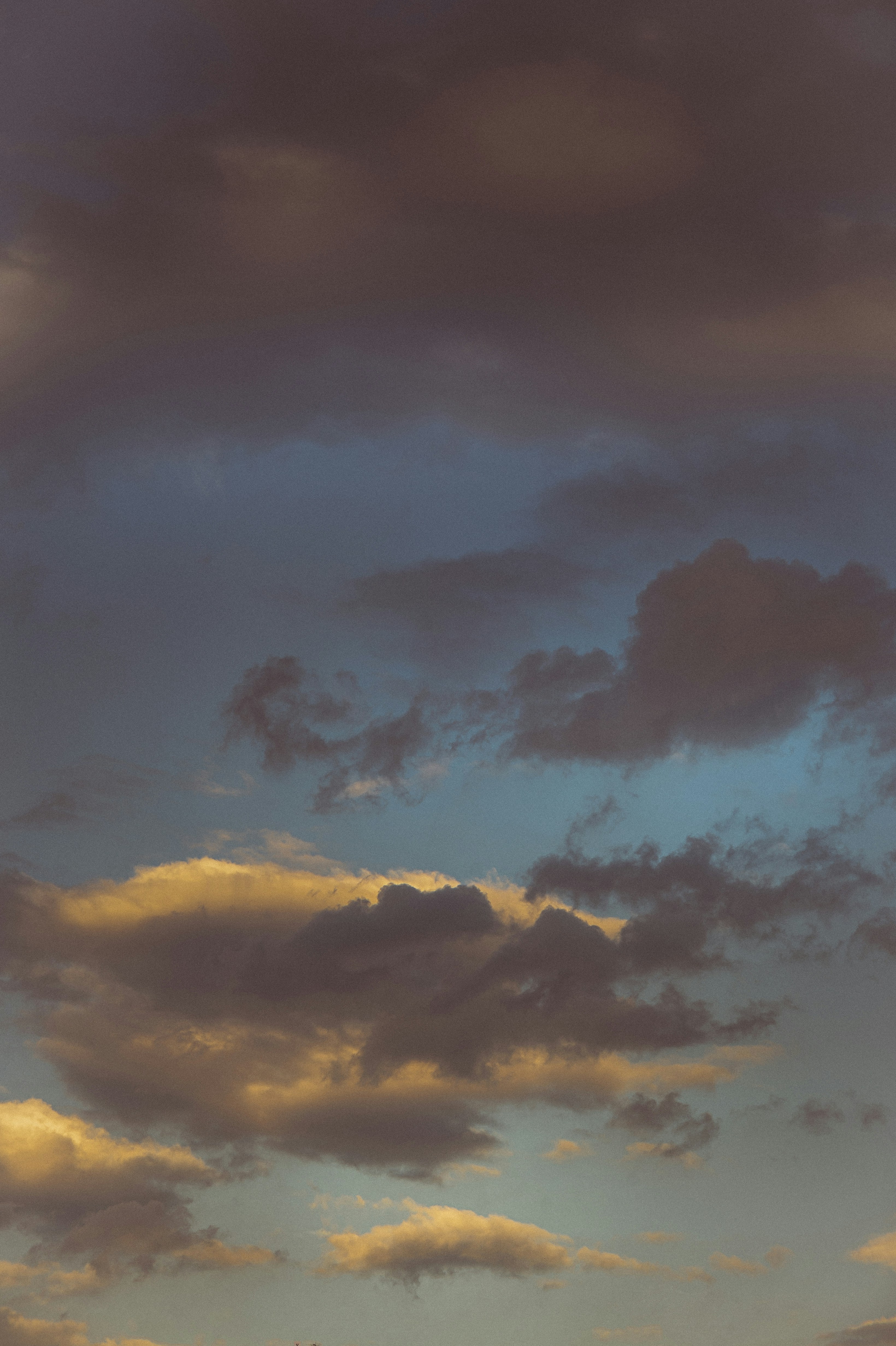 Photo by vonshnauzer