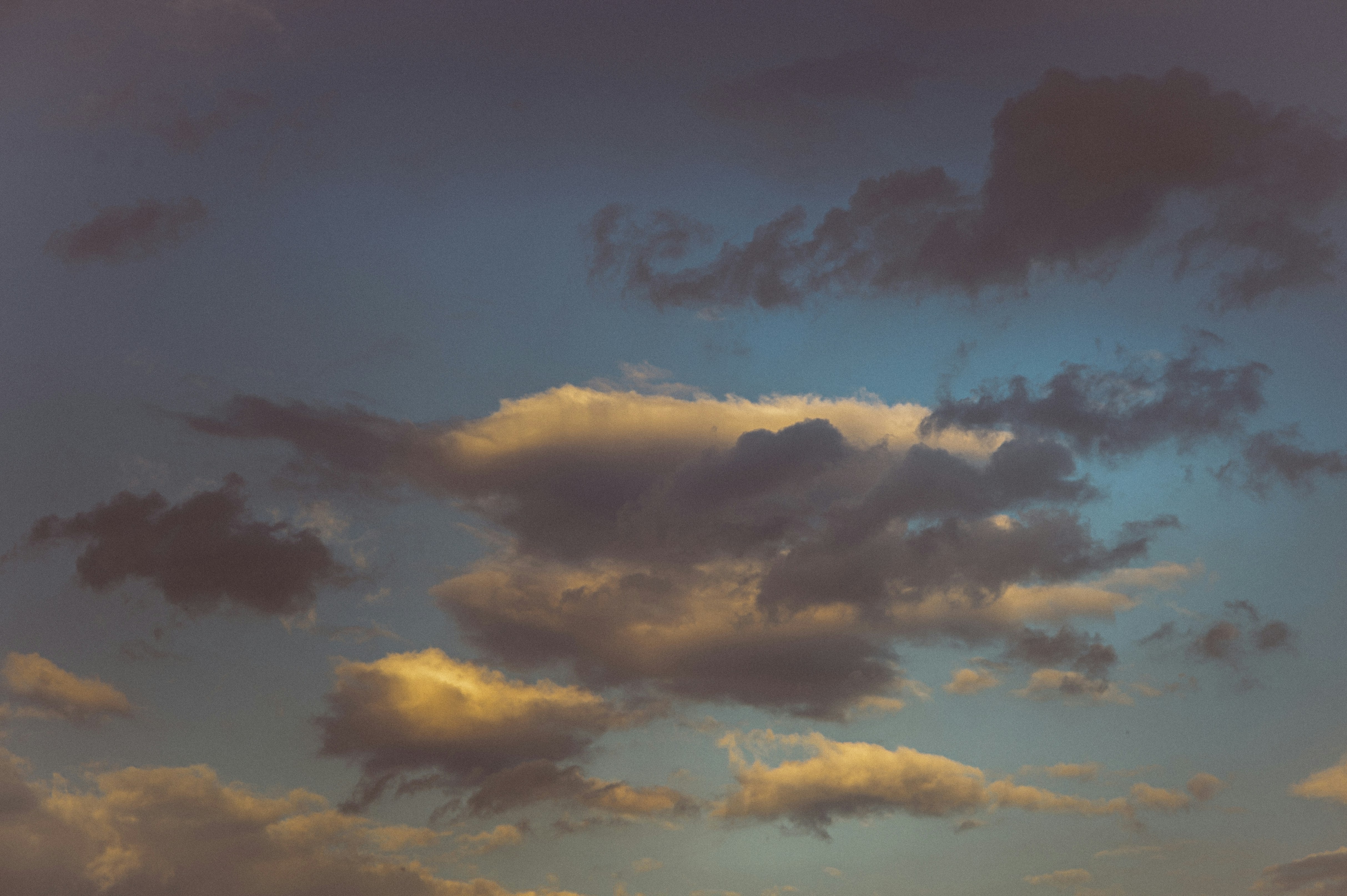 Photo by vonshnauzer