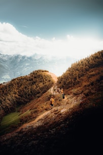 person walking on brown field during daytime