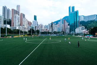people playing soccer on green grass field during daytime