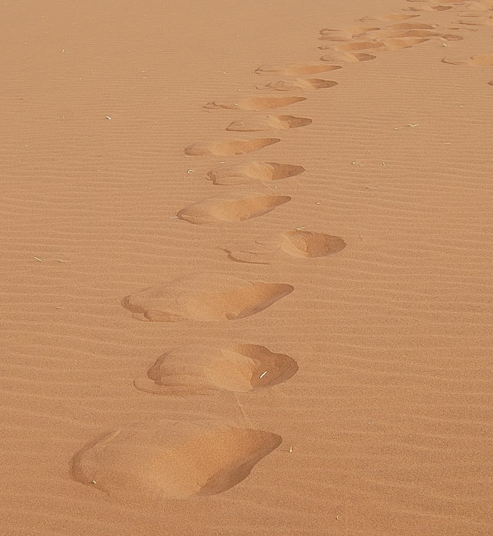 impressões dos pés na areia marrom