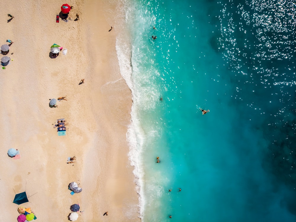 people on beach during daytime