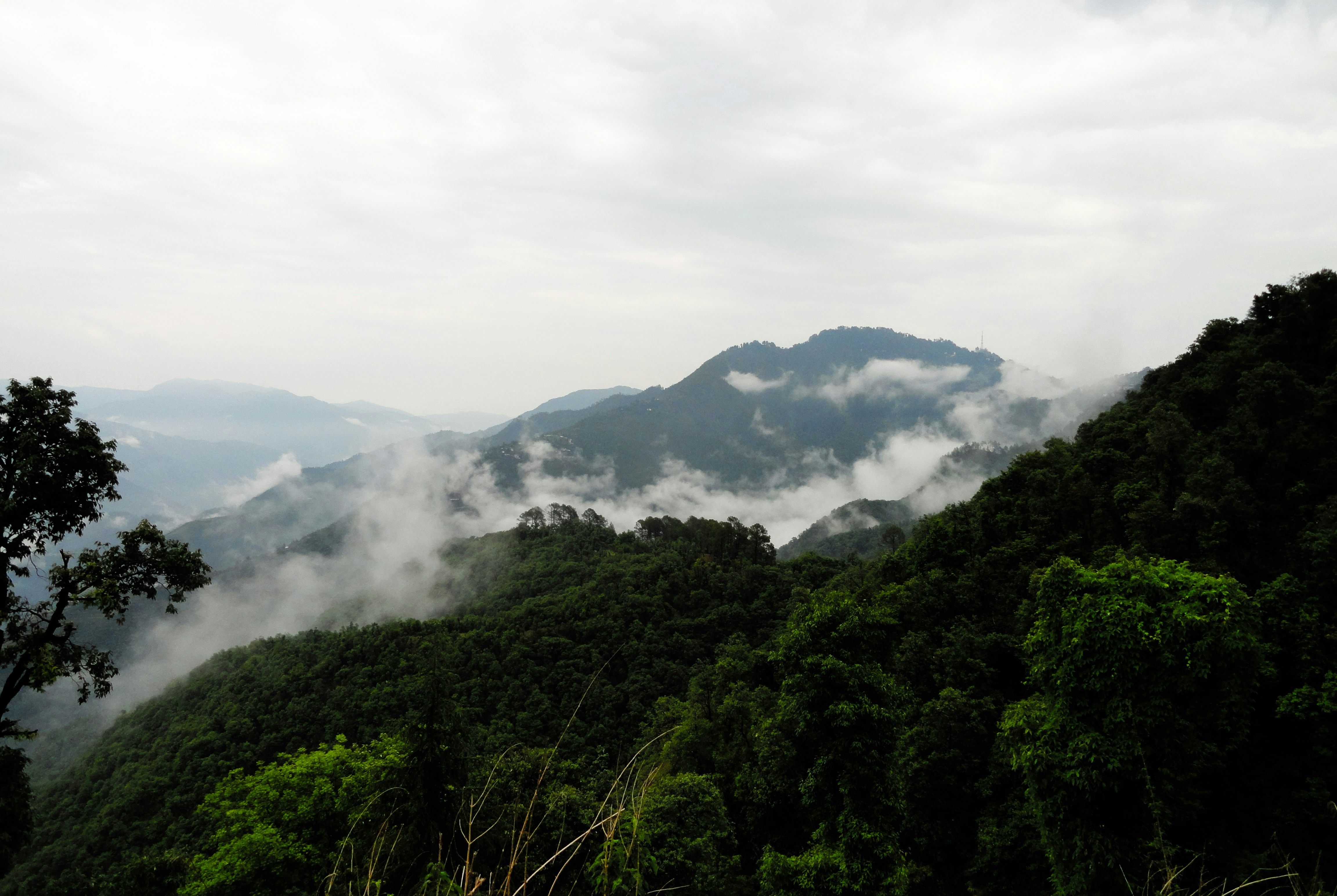 green trees on mountain under white clouds during daytime