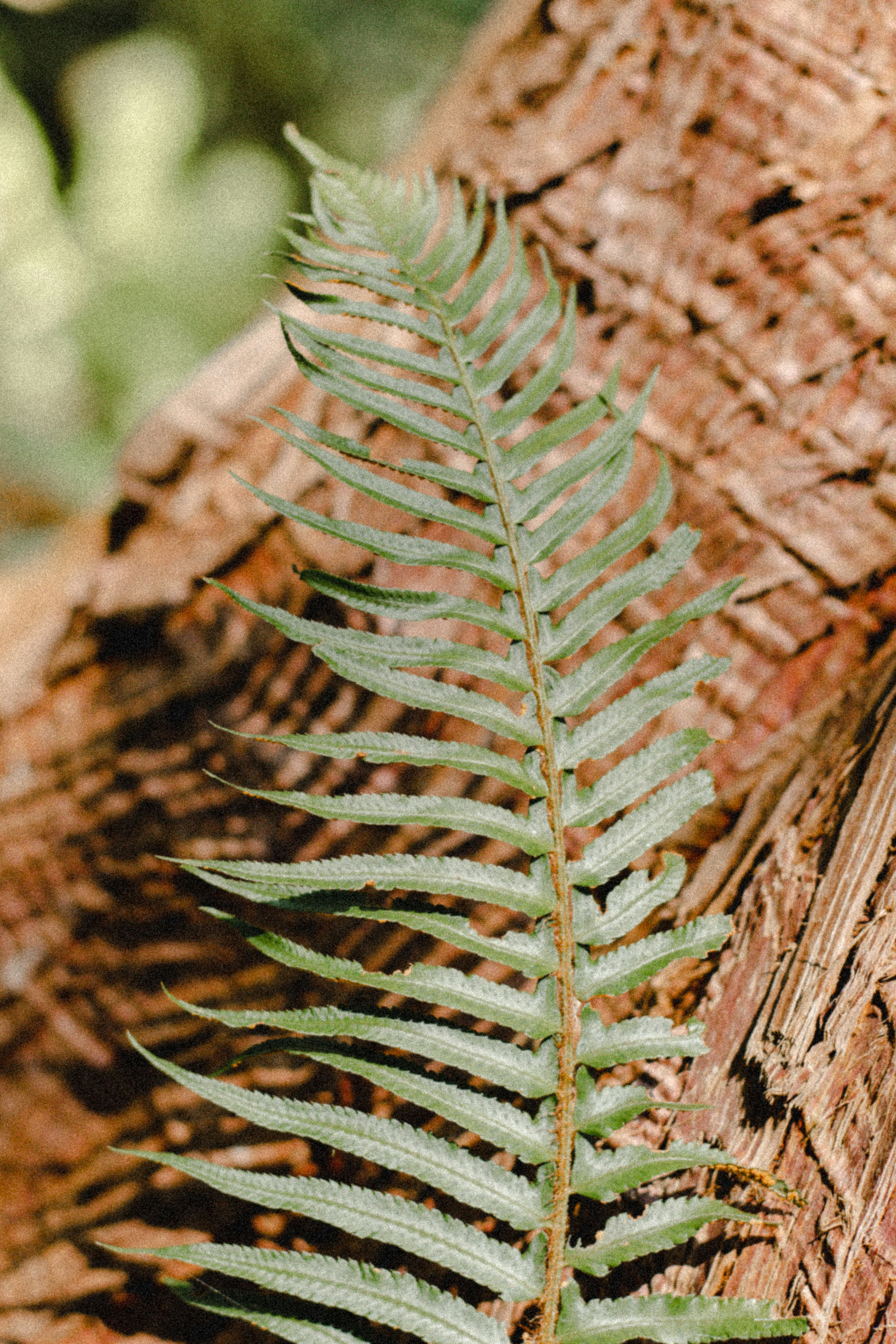 Photo by andrrewphoto