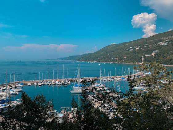 A scenic coastal marina with boats and waterfront properties under a clear sky