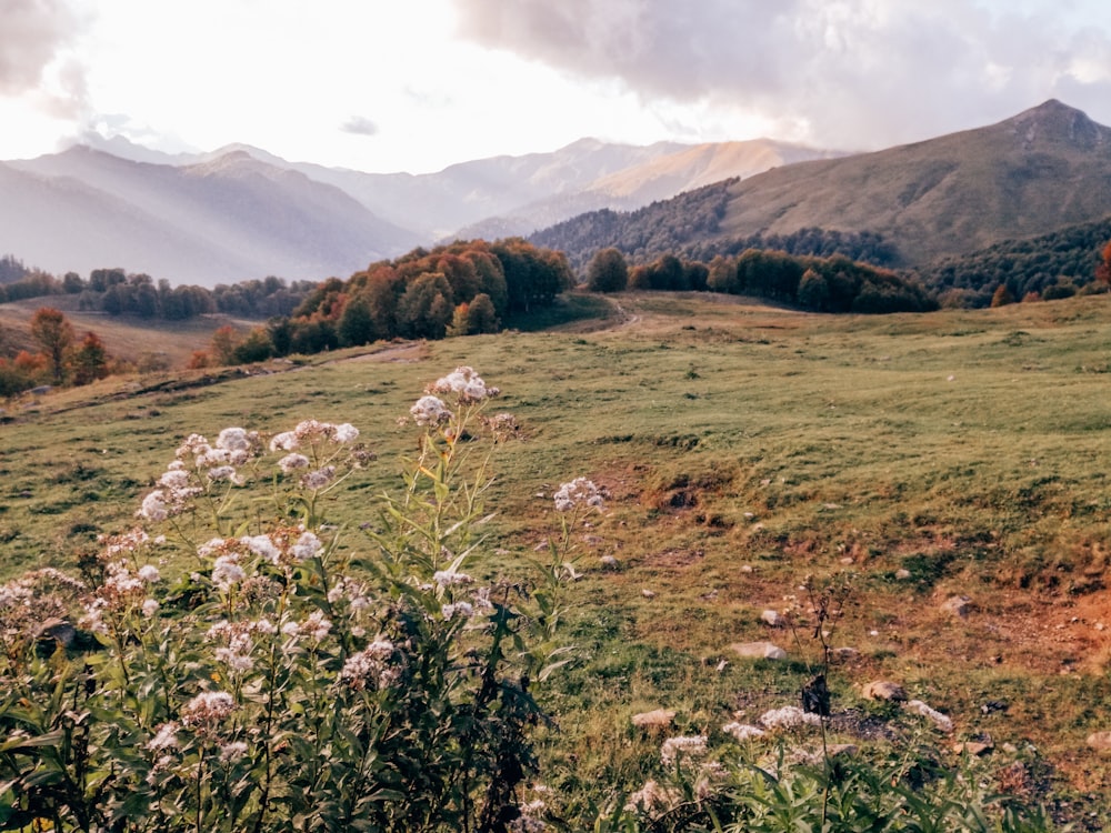 green grass field near mountain under white clouds during daytime