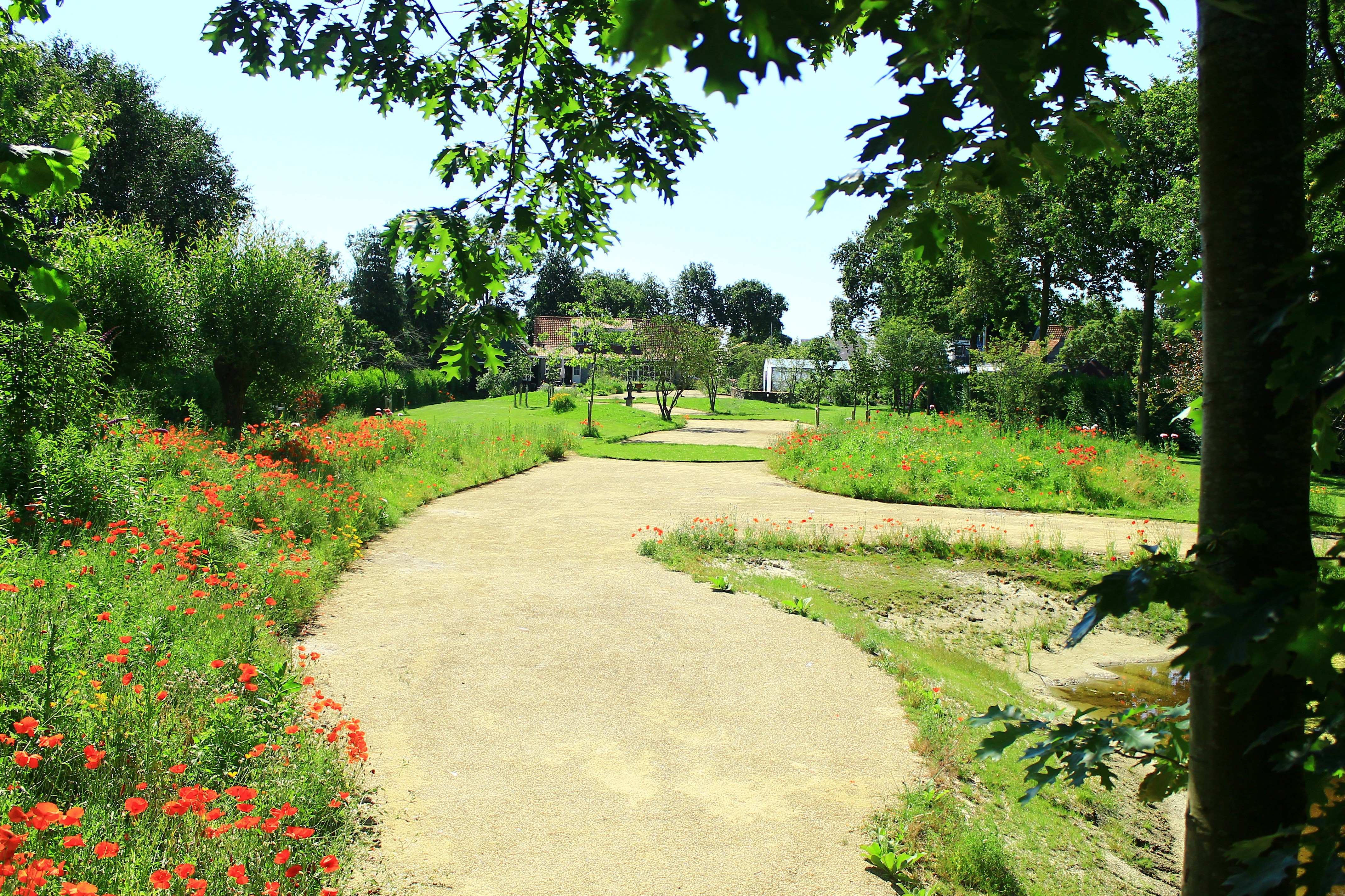 green grass field and trees during daytime