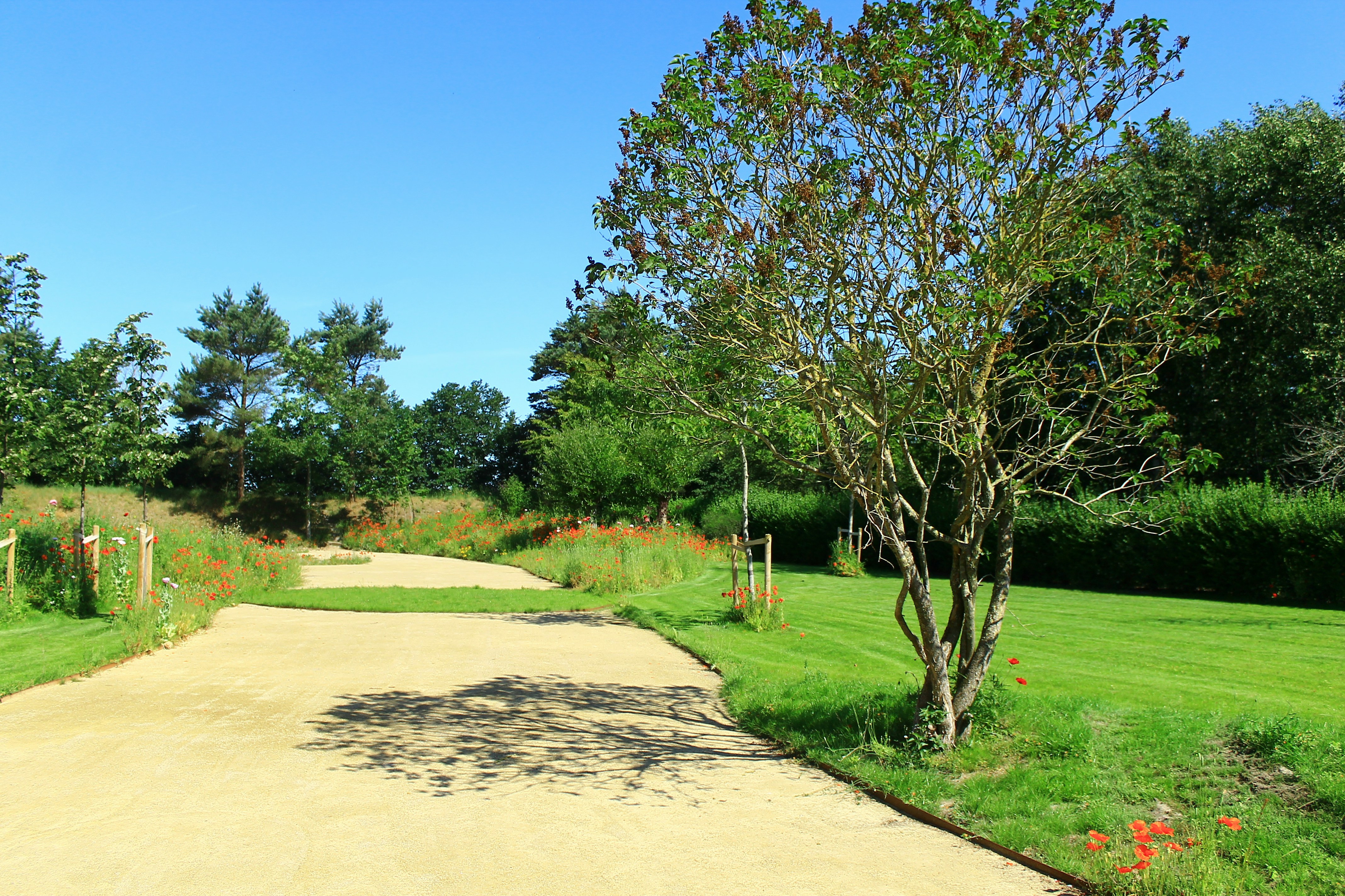 Twisted Garden Park