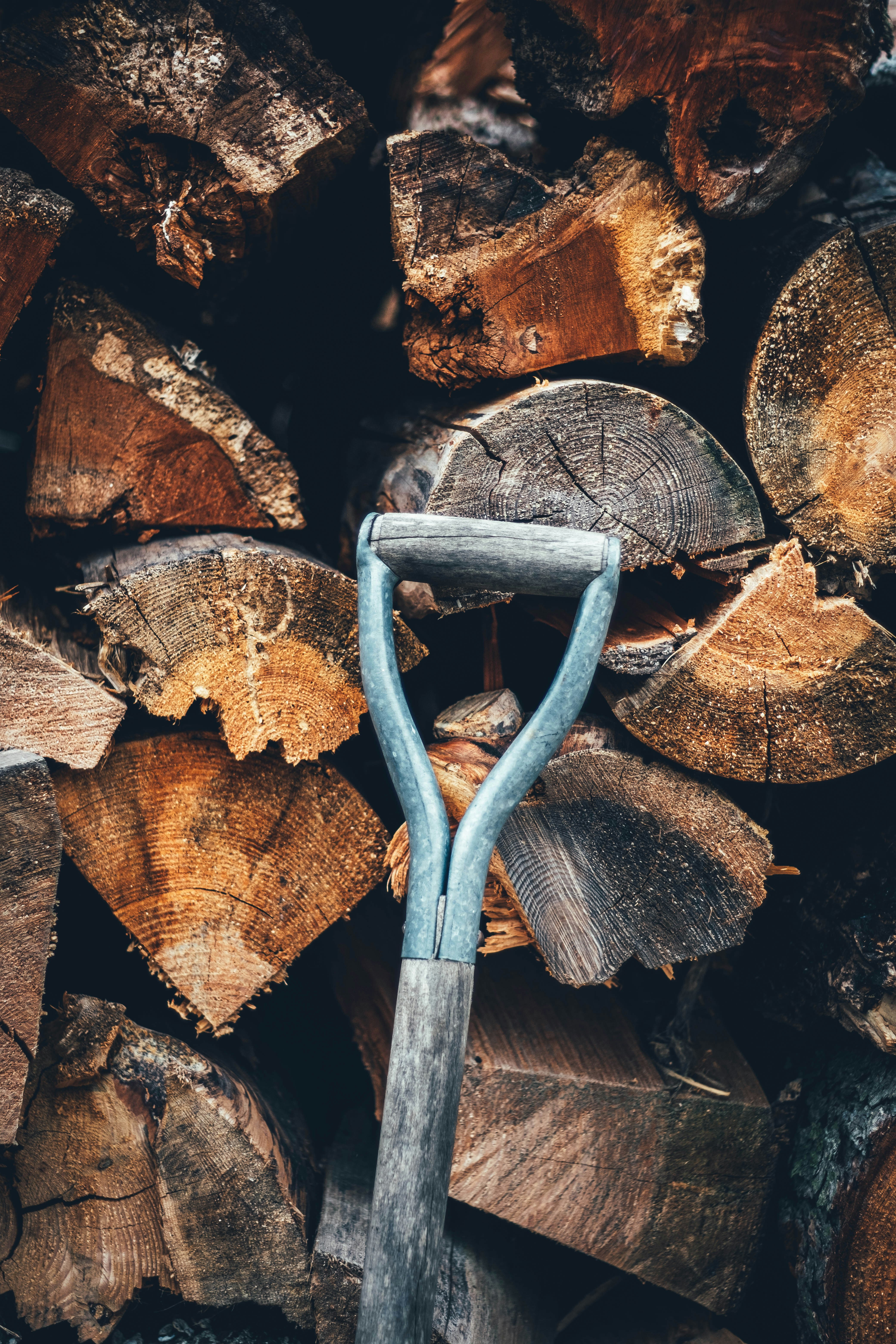 Photo by ialwayswantedagun