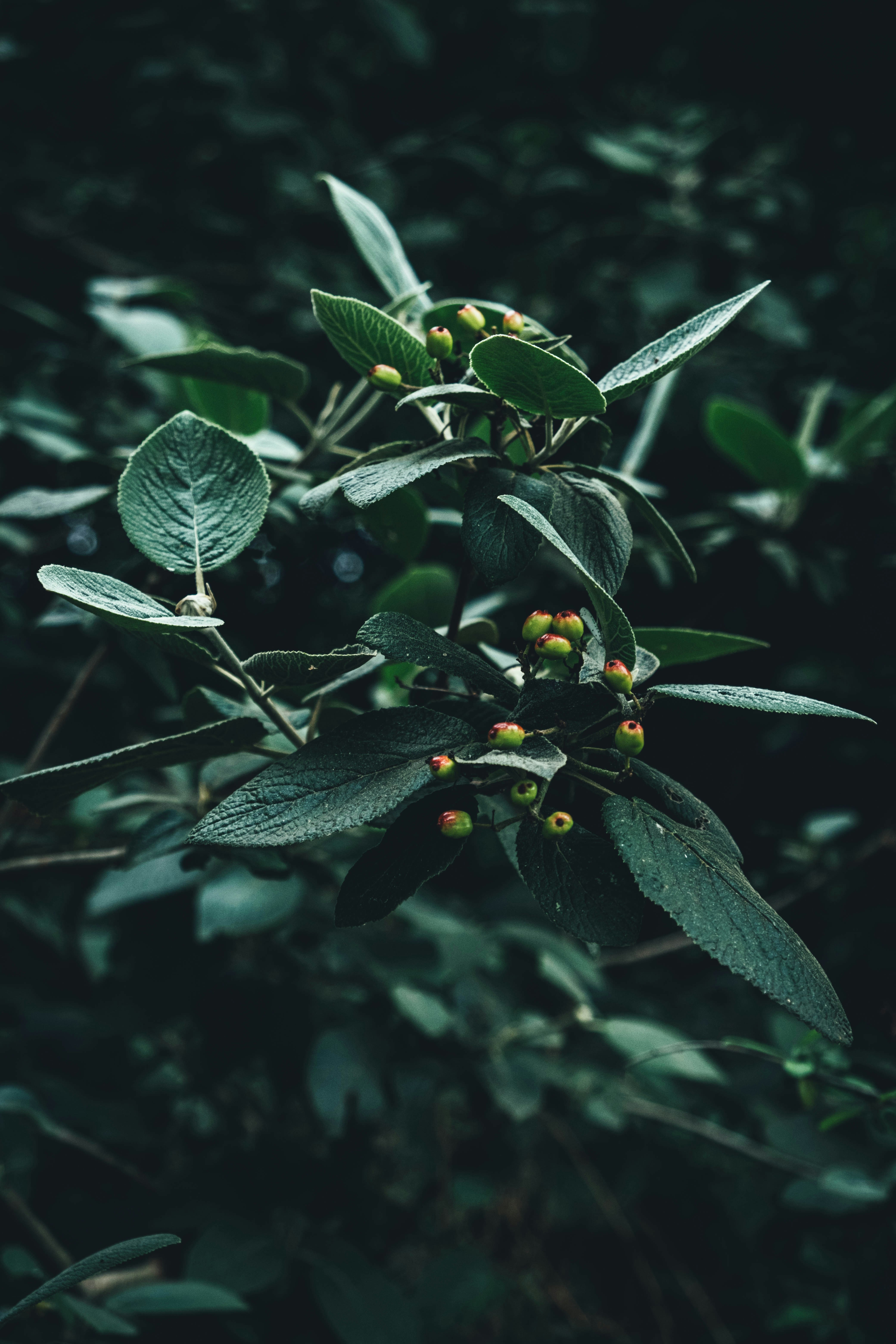 Photo by ialwayswantedagun