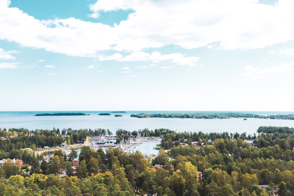 green trees near body of water during daytime