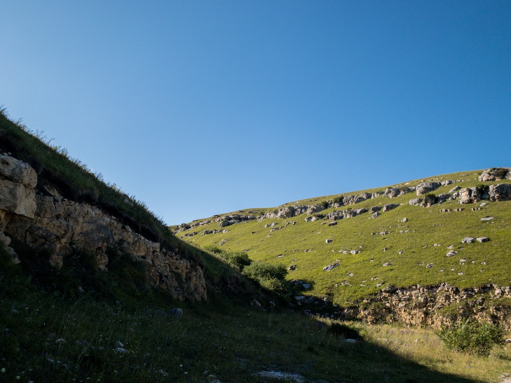 green grass field under blue sky during daytime