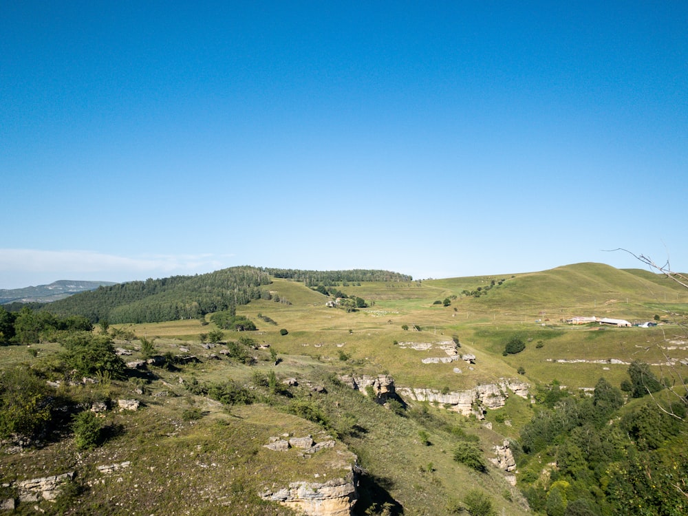 Campo de hierba verde bajo el cielo azul durante el día