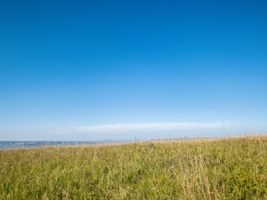 Spacious Land Plot