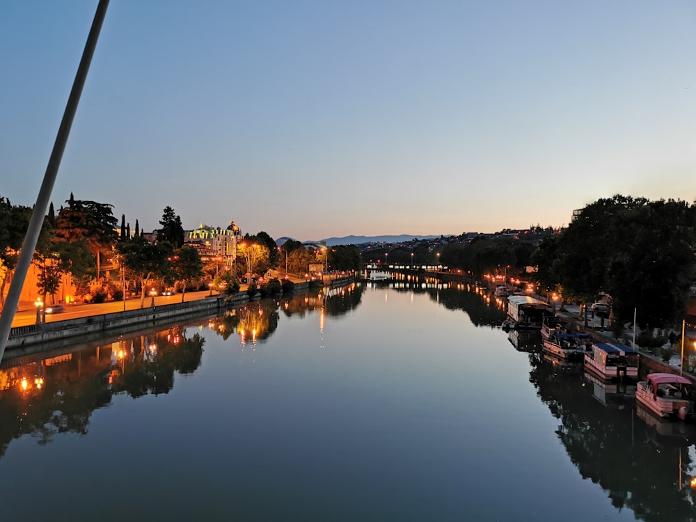 plan d’eau près des arbres pendant la nuit