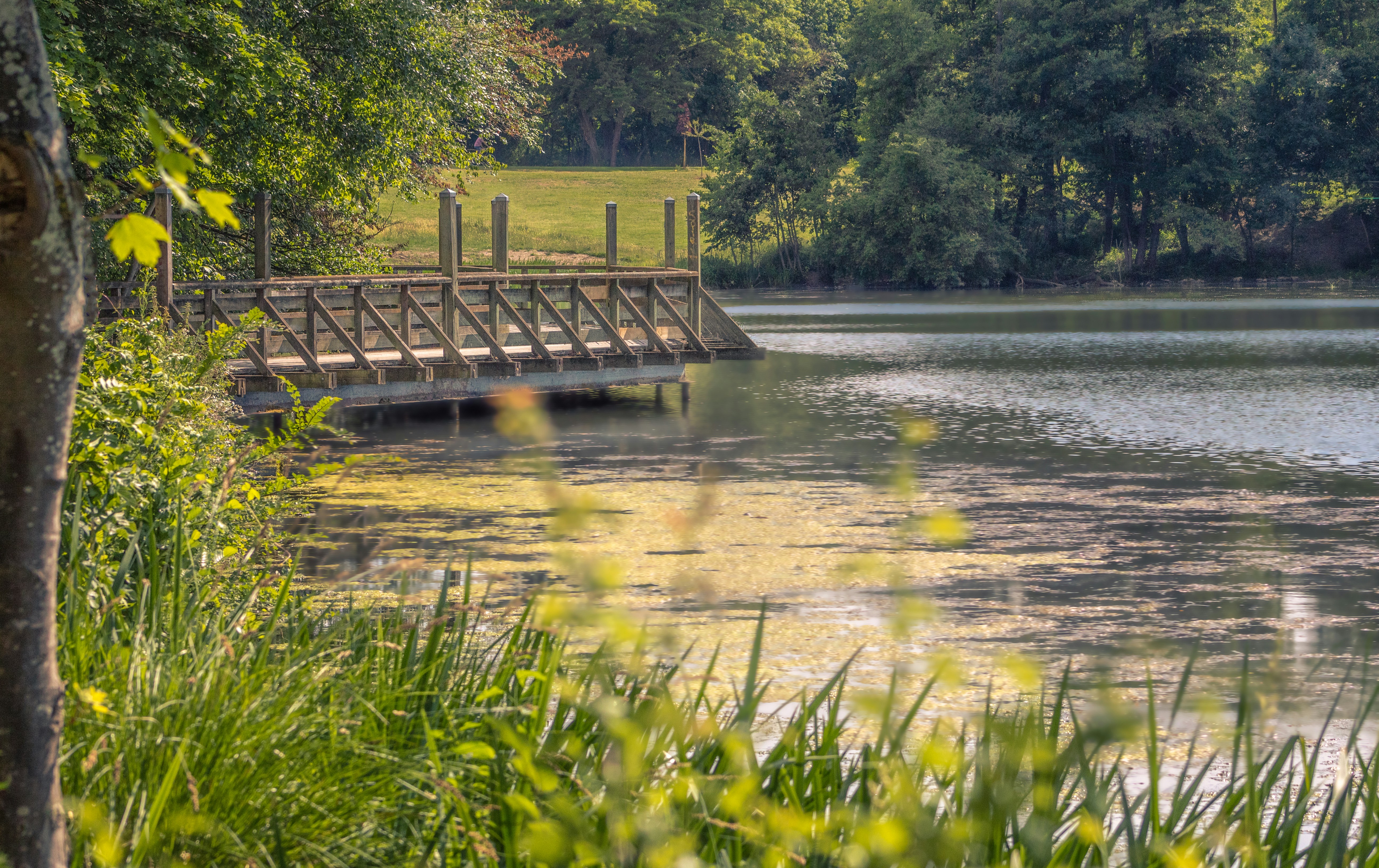 Photo by msilvaphoto