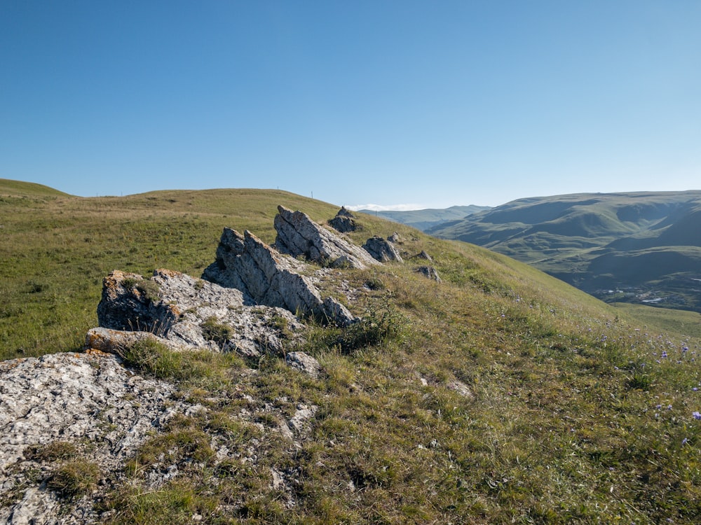 green grass field on hill under blue sky during daytime