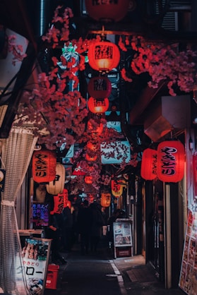 people walking on street with red lanterns