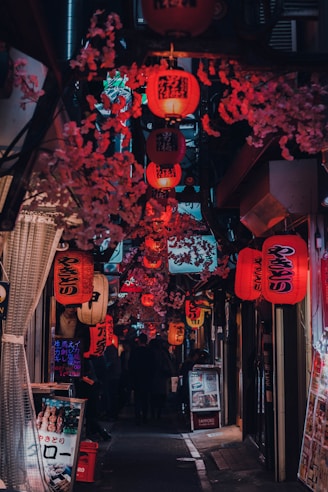 people walking on street with red lanterns