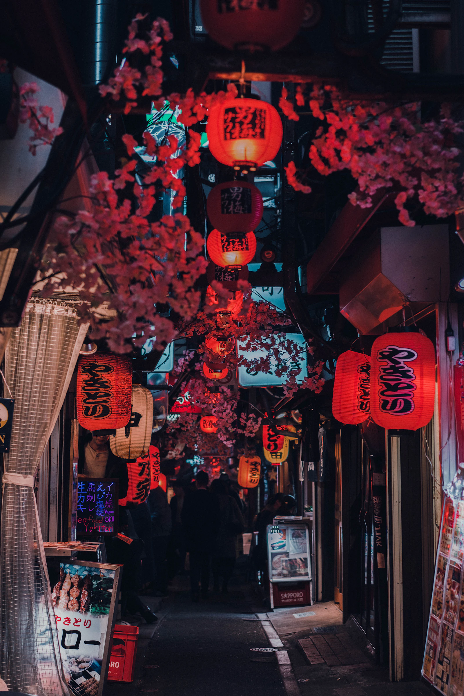 A lantern-lined street in Kawagoe