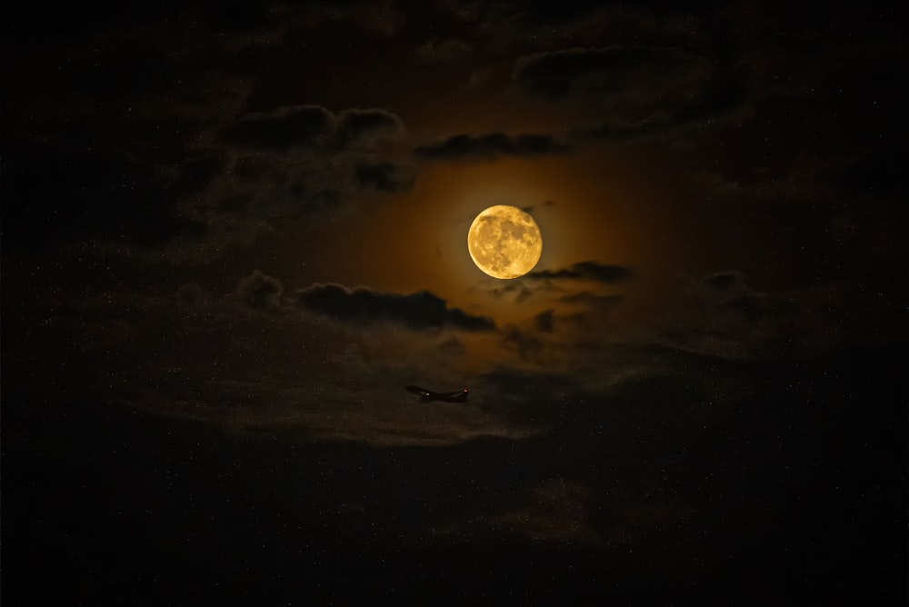 full moon in the sky