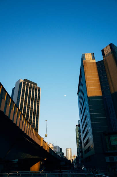 brown and white high rise buildings under blue sky during daytime