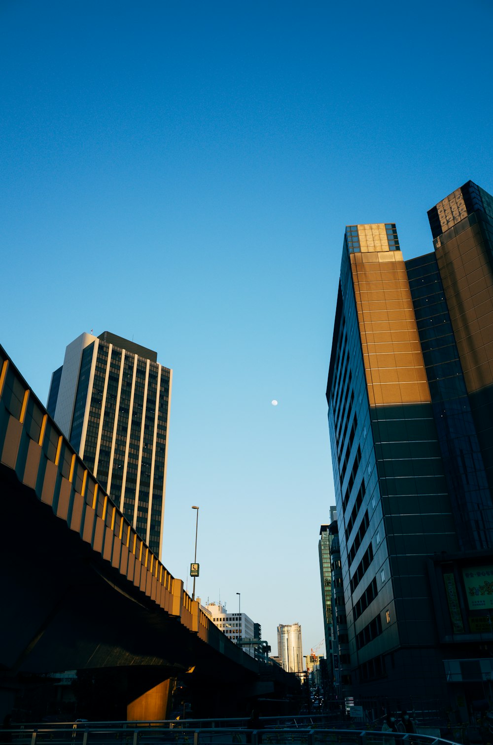 낮 동안 푸른 하늘 아래 갈색과 흰색 고층 건물