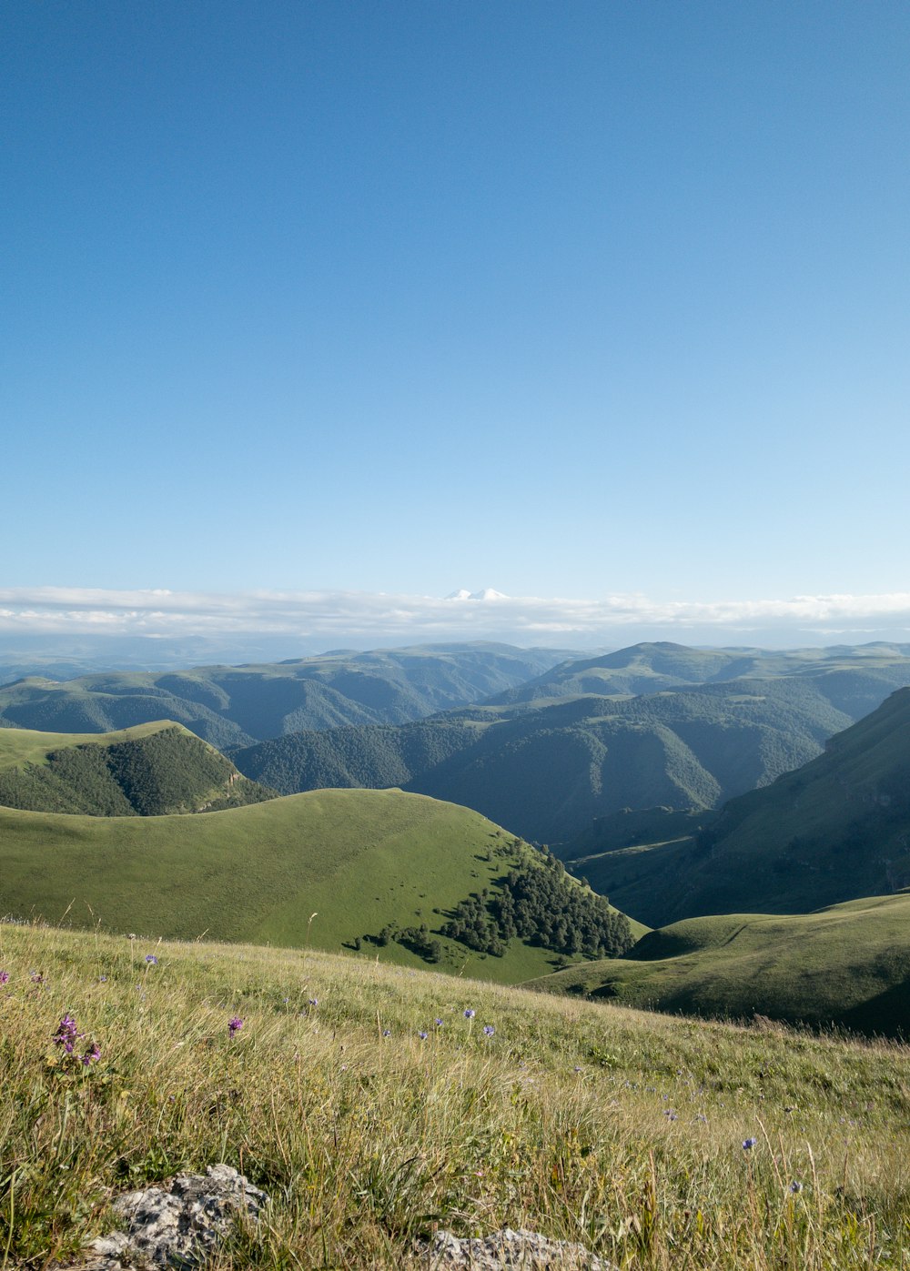 green grass field and mountains under blue sky during daytime