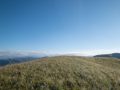 Rolling green hills with wildflowers stretching towards distant peaks.