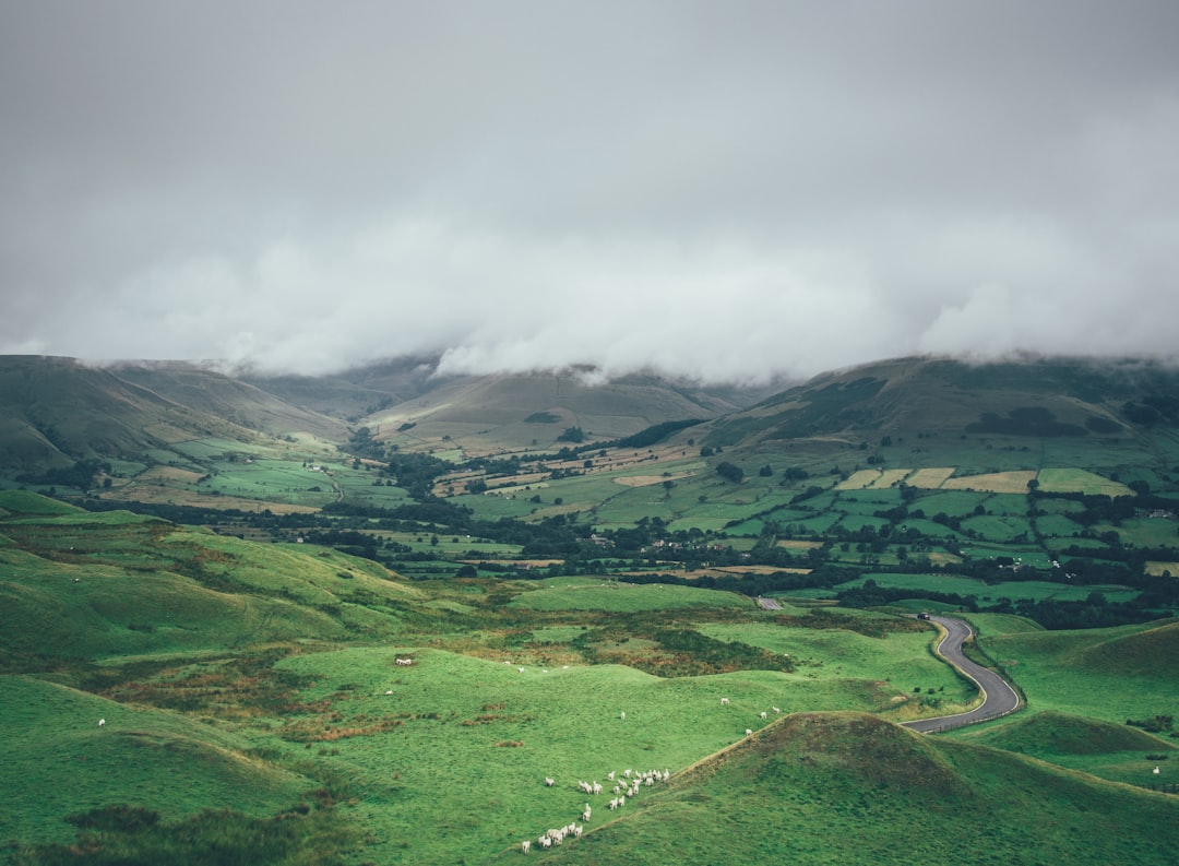 green grass field under white clouds during daytime