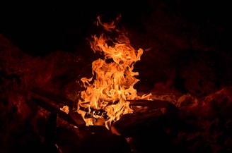 fire on brown wooden stick