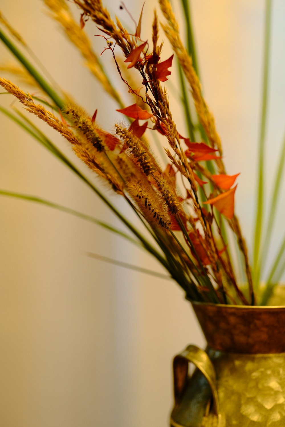 brown and green plant in black pot